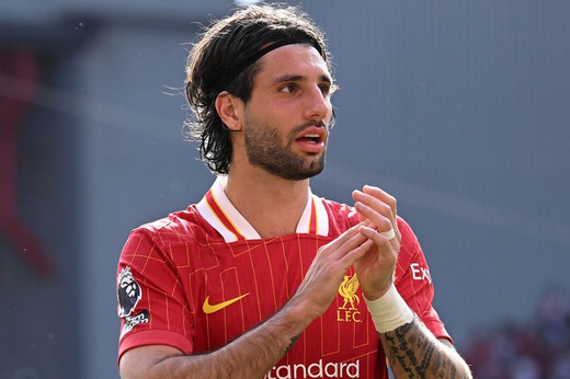 Доминик Собослаи Доминик Собослаи