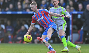 ���� ������