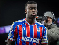 ���� ����