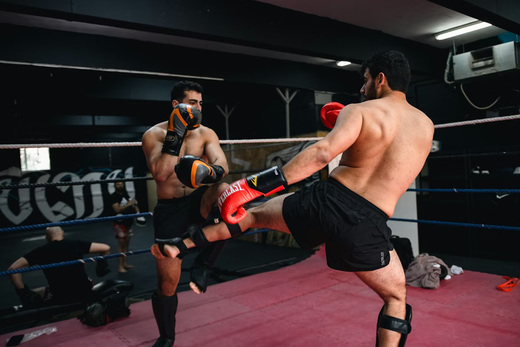 ����� ��������� ������ � UFC � 2026 ����