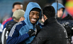 ���� �������